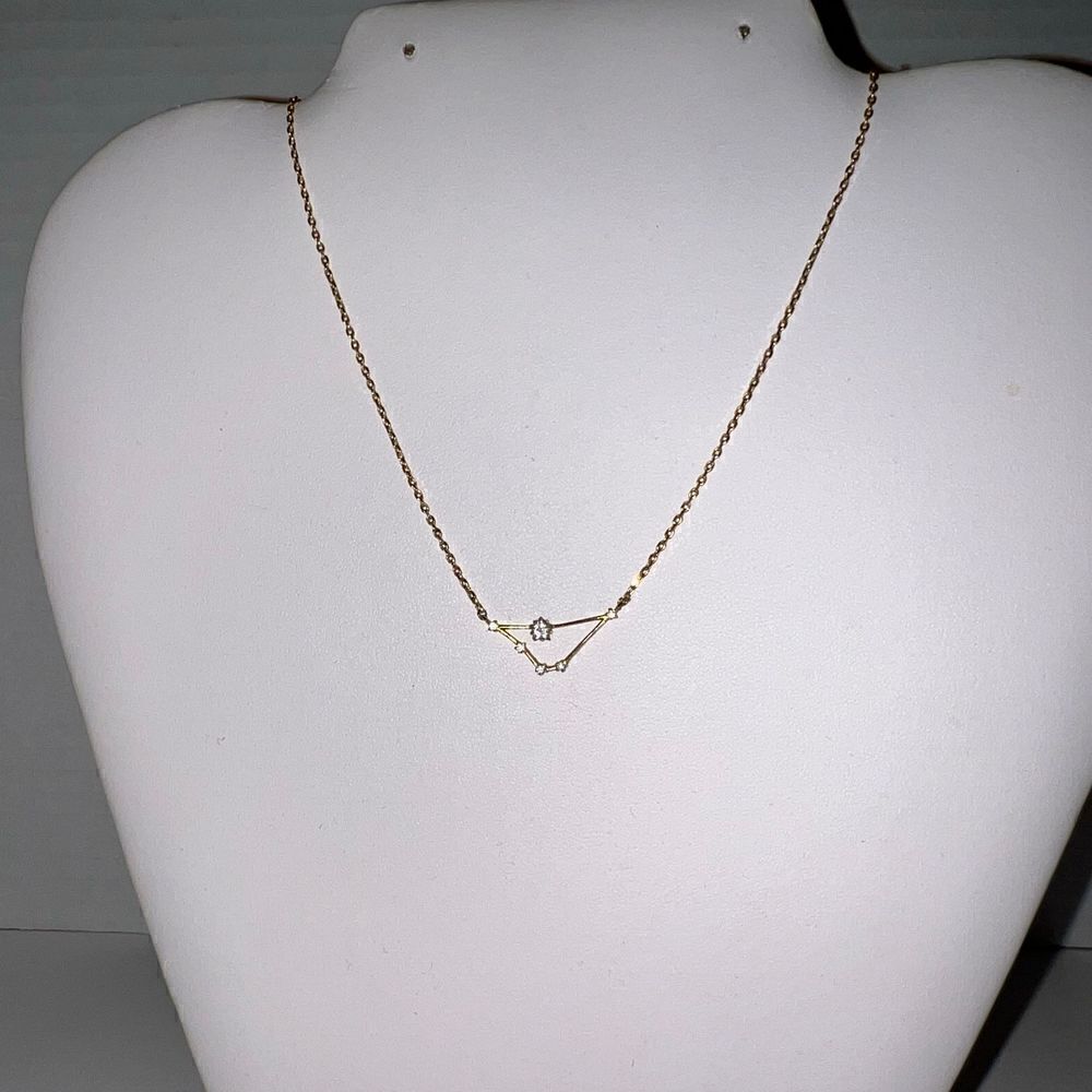 Secretbox NY Capricorn Constellation Necklace - Picture 5 of 9